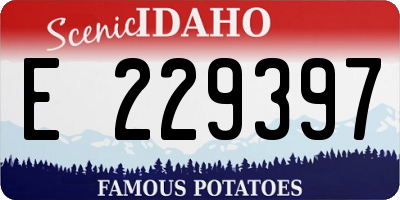 ID license plate E229397