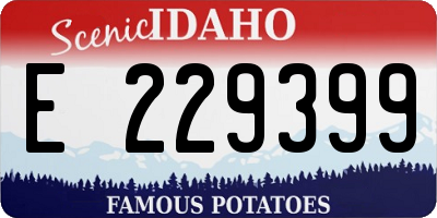 ID license plate E229399