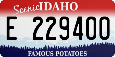 ID license plate E229400