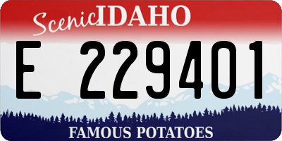 ID license plate E229401