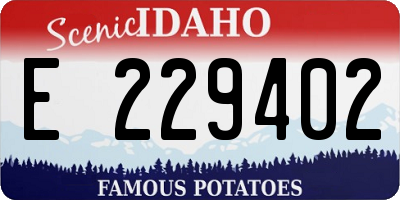 ID license plate E229402