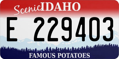 ID license plate E229403