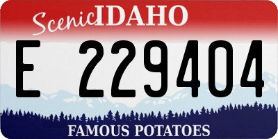 ID license plate E229404