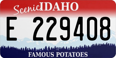 ID license plate E229408