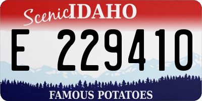 ID license plate E229410
