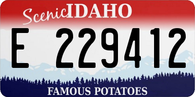 ID license plate E229412