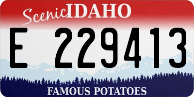 ID license plate E229413