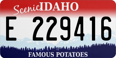 ID license plate E229416