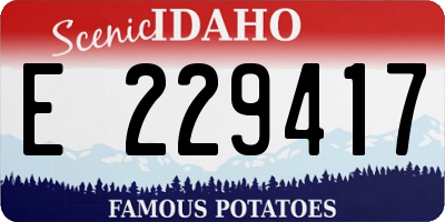 ID license plate E229417