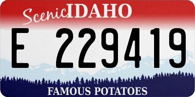 ID license plate E229419