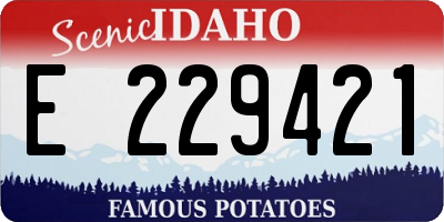 ID license plate E229421