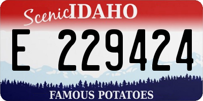 ID license plate E229424