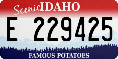 ID license plate E229425