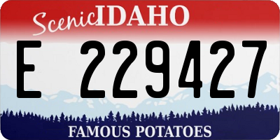 ID license plate E229427