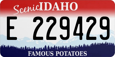 ID license plate E229429