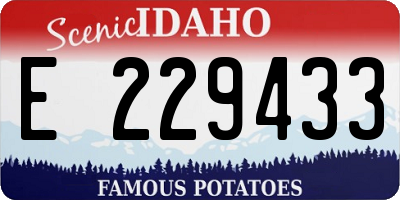 ID license plate E229433