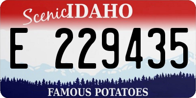 ID license plate E229435