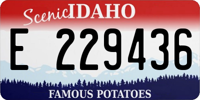 ID license plate E229436