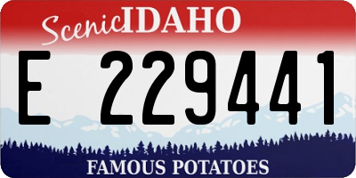 ID license plate E229441