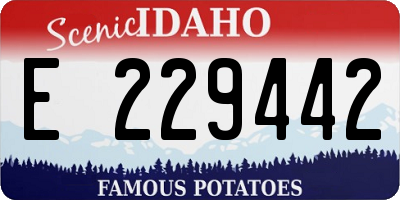 ID license plate E229442