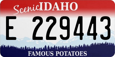 ID license plate E229443