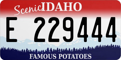 ID license plate E229444