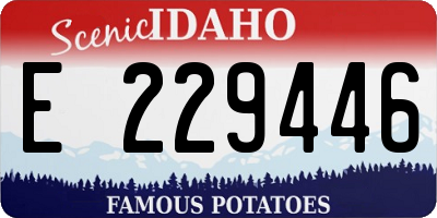ID license plate E229446