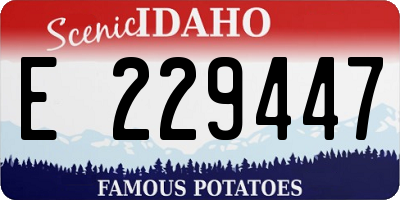 ID license plate E229447