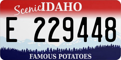 ID license plate E229448
