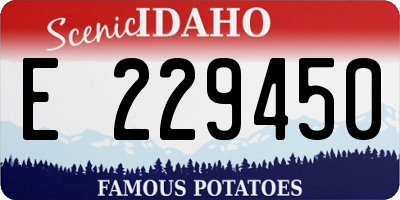 ID license plate E229450