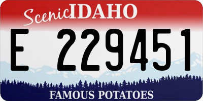 ID license plate E229451