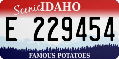 ID license plate E229454