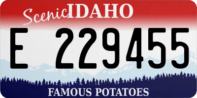 ID license plate E229455