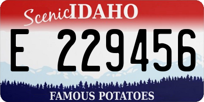 ID license plate E229456