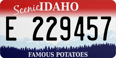 ID license plate E229457