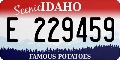 ID license plate E229459