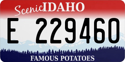 ID license plate E229460