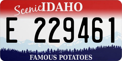 ID license plate E229461