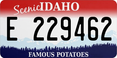 ID license plate E229462
