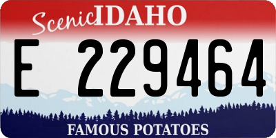 ID license plate E229464