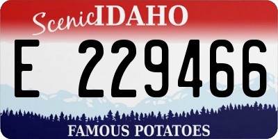 ID license plate E229466