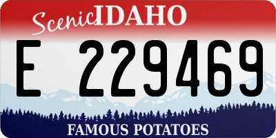 ID license plate E229469