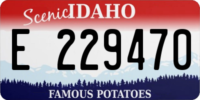 ID license plate E229470