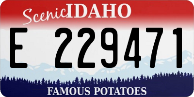 ID license plate E229471