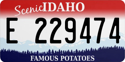 ID license plate E229474
