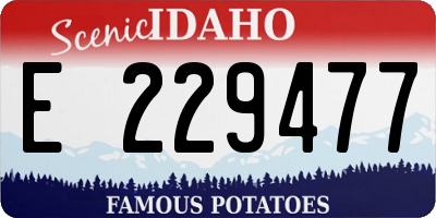 ID license plate E229477