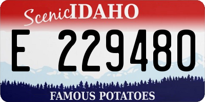 ID license plate E229480