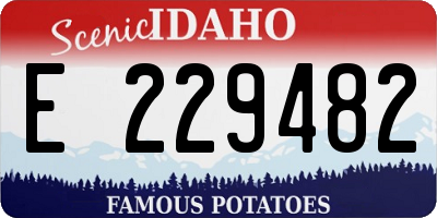 ID license plate E229482