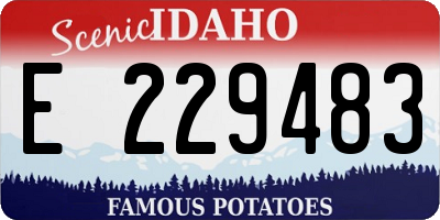 ID license plate E229483