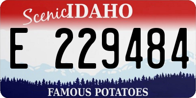 ID license plate E229484